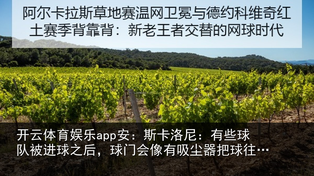 开云体育娱乐app安：斯卡相关情况球之相关情况器把球往里吸