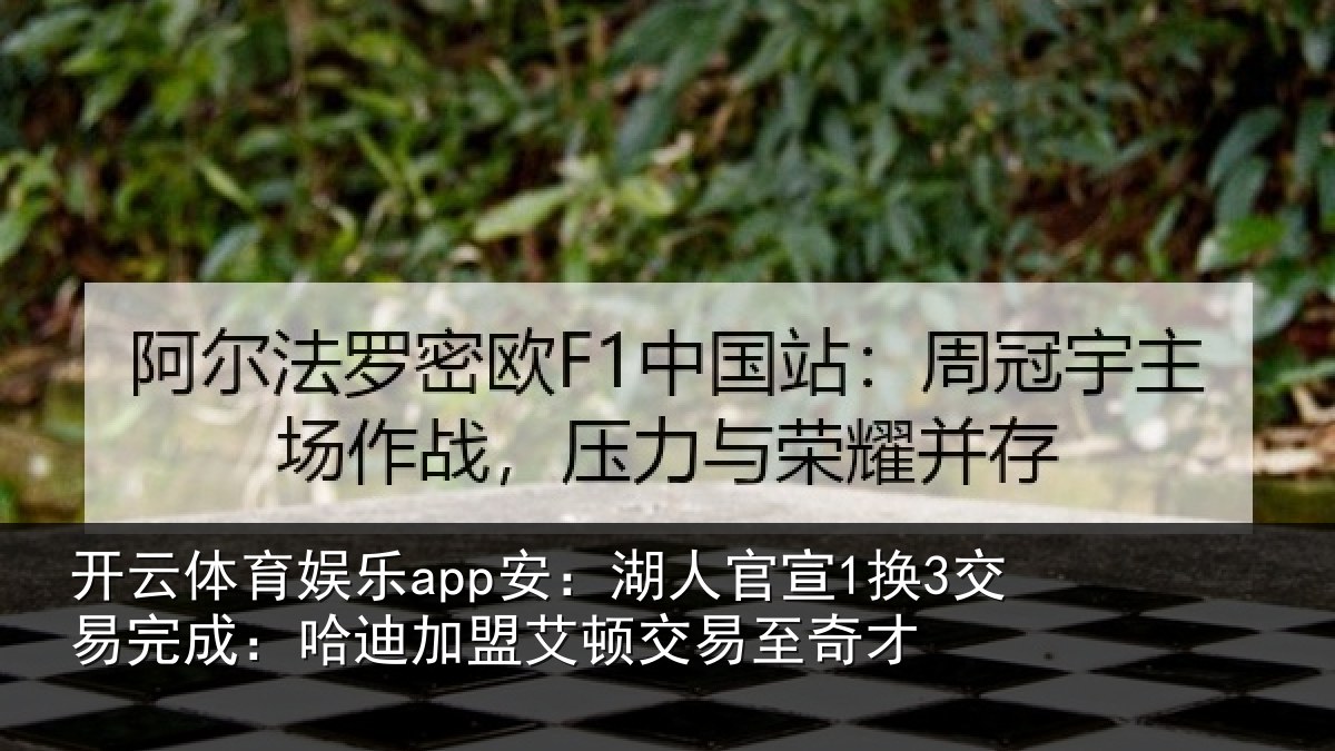 开云体育娱乐app安：湖人相关情况迪加相关情况