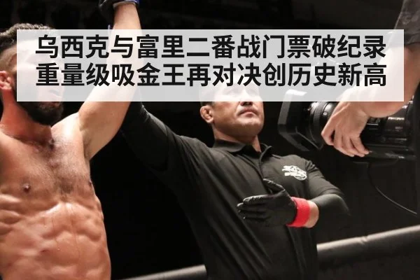 乌西克与富里二番战门票破纪录 重量级吸金王再对决创历史新高